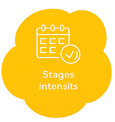 stage intensive envolergo